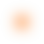 Shape animation